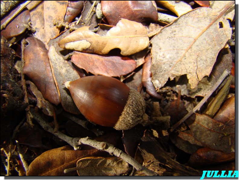 Image hébergée par Casimages.com : votre hébergeur d images simple et gratuit