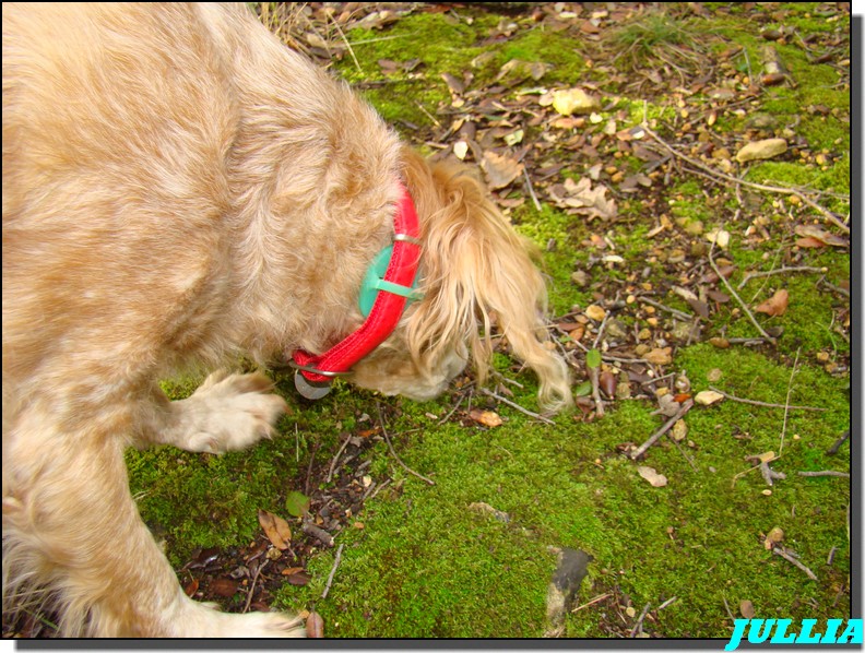 Image hébergée par Casimages.com : votre hébergeur d images simple et gratuit