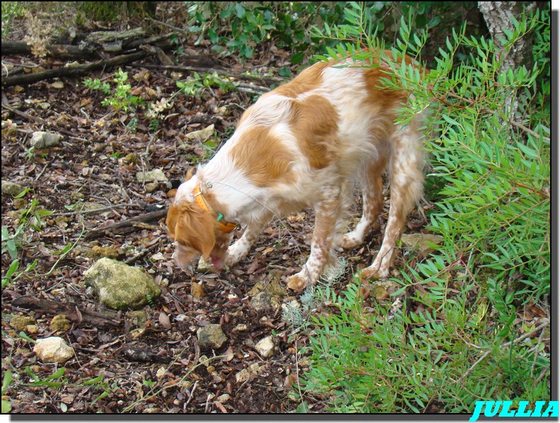 Image hébergée par Casimages.com : votre hébergeur d images simple et gratuit