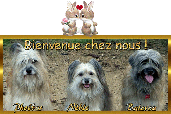 Image h�berg�e par Casimages.com : votre h�bergeur d images simple et gratuit