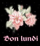 Cliquez pour afficher l'image en taille r�elle
