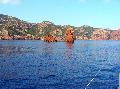 DSCN0598