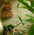 DSCN0674