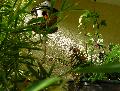DSCN0671