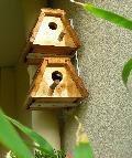 DSCN0669