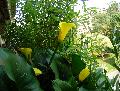 DSCN0556