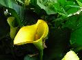 DSCN0554