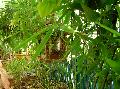 DSCN0638