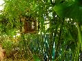 DSCN0626