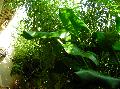 DSCN0624