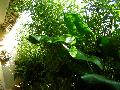DSCN0623