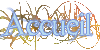 Accueil
