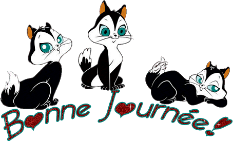 Image h�berg�e par Casimages.com : votre h�bergeur d images simple et gratuit
