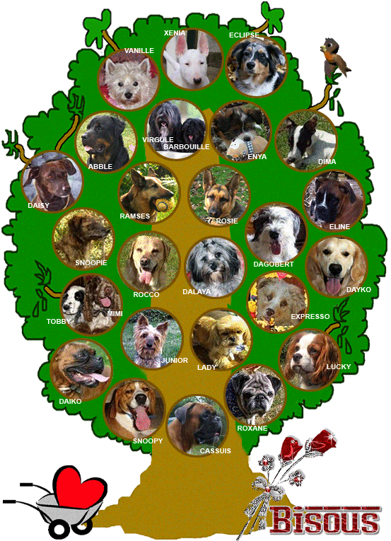 Image h�berg�e par Casimages.com : votre h�bergeur d images simple et gratuit