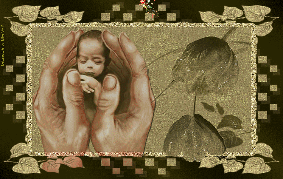 Image h�berg�e par Casimages.com : votre h�bergeur d images simple et gratuit