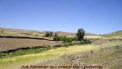 LAASSIRI