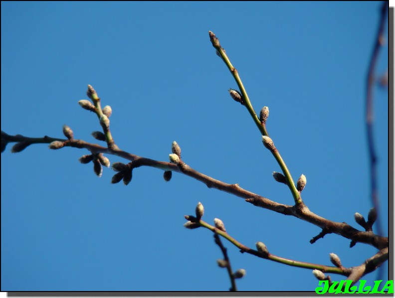 Image hébergée par Casimages.com : votre hébergeur d images simple et gratuit