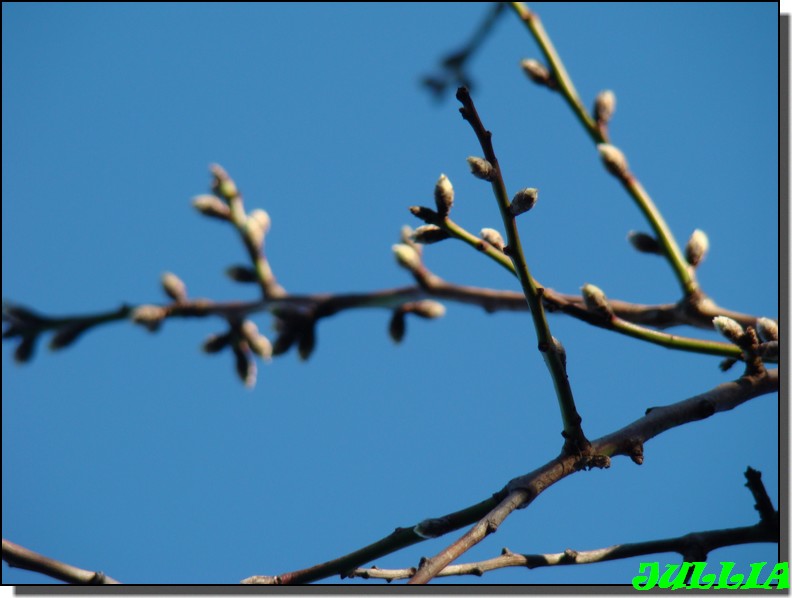 Image hébergée par Casimages.com : votre hébergeur d images simple et gratuit