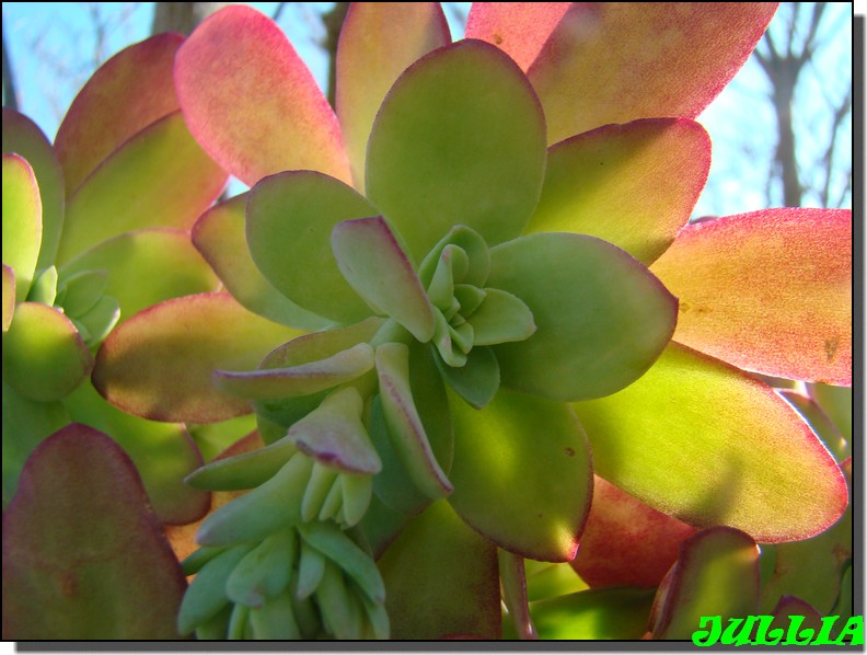Image hébergée par Casimages.com : votre hébergeur d images simple et gratuit
