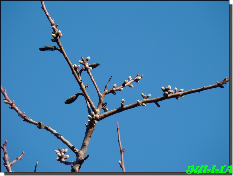 Image hébergée par Casimages.com : votre hébergeur d images simple et gratuit