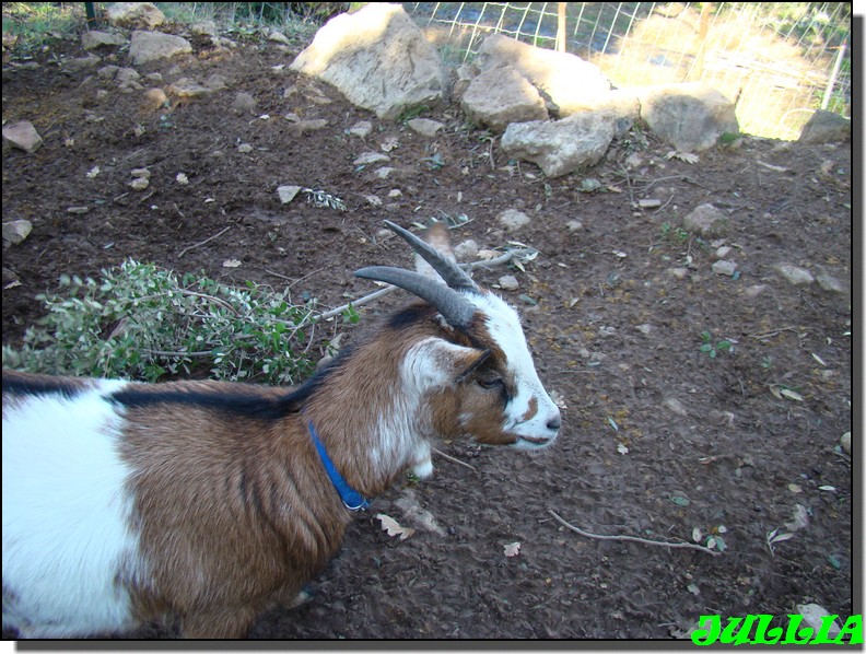 Image hébergée par Casimages.com : votre hébergeur d images simple et gratuit