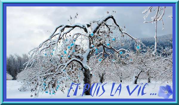 Image h�berg�e par Casimages.com : votre h�bergeur d images simple et gratuit