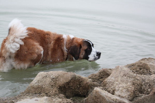Image h�berg�e par Casimages.com : votre h�bergeur d images simple et gratuit