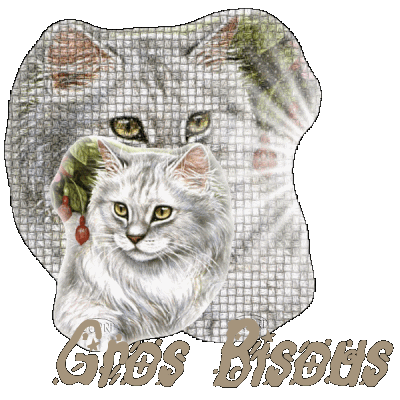 Image hébergée par Casimages.com : votre hébergeur d images simple et gratuit