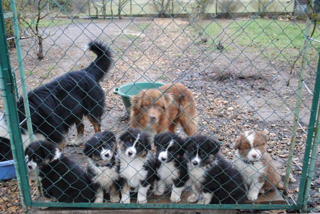 Image h�berg�e par Casimages.com : votre h�bergeur d images simple et gratuit