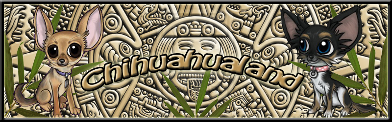 Chihuahualand