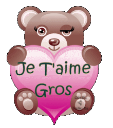 voir l'image en taille r�elle
