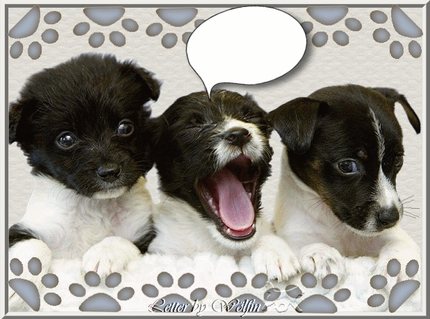 Image h�berg�e par Casimages.com : votre h�bergeur d images simple et gratuit