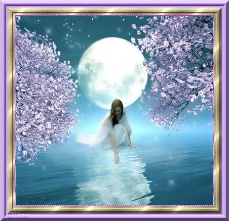 Image h�berg�e par Casimages.com : votre h�bergeur d images simple et gratuit