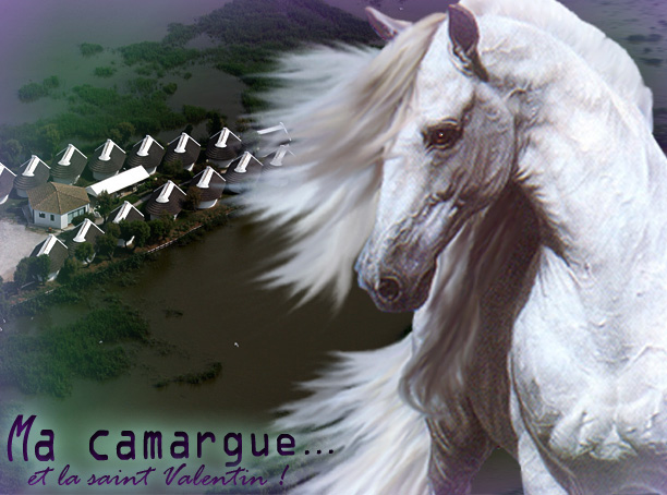 Image h�berg�e 
par Casimages.com : votre h�bergeur d images simple et gratuit