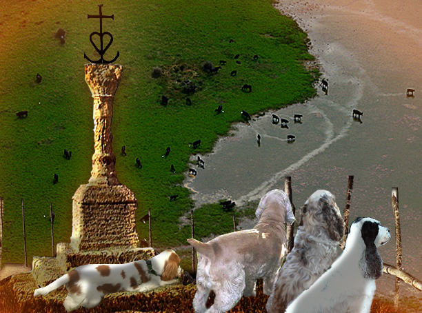 Image h�berg�e 
par Casimages.com : votre h�bergeur d images simple et gratuit