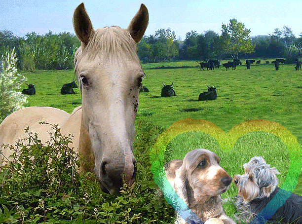 Image h�berg�e 
par Casimages.com : votre h�bergeur d images simple et gratuit
