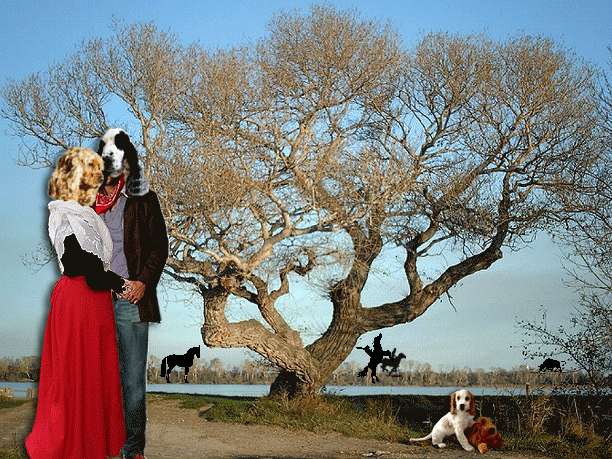 Image hébergée par Casimages.com : votre hébergeur d images simple et gratuit