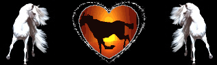 Image h�berg�e par Casimages.com : votre h�bergeur d images simple et gratuit