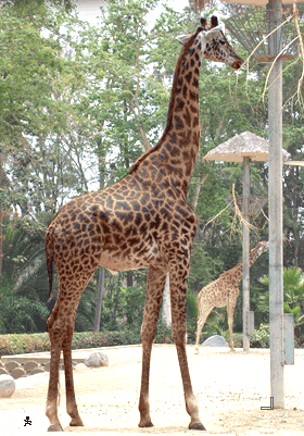 Image hébergée par Casimages.com : votre hébergeur d images simple et gratuit