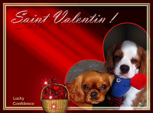 Image h�berg�e par Casimages.com : votre h�bergeur d images simple et gratuit