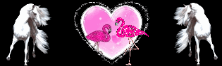 Image h�berg�e 
par Casimages.com : votre h�bergeur d images simple et gratuit