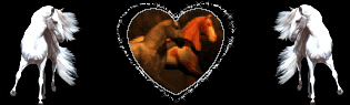 Image hébergée
par Casimages.com : votre hébergeur d images simple et gratuit