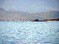 DSCN0479