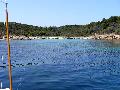 DSCN0508