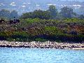 DSCN0578