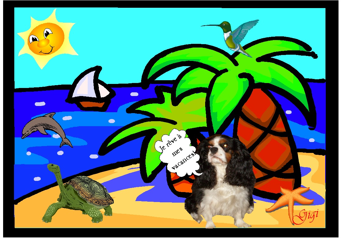 Image h�berg�e par Casimages.com : votre h�bergeur d images simple et gratuit