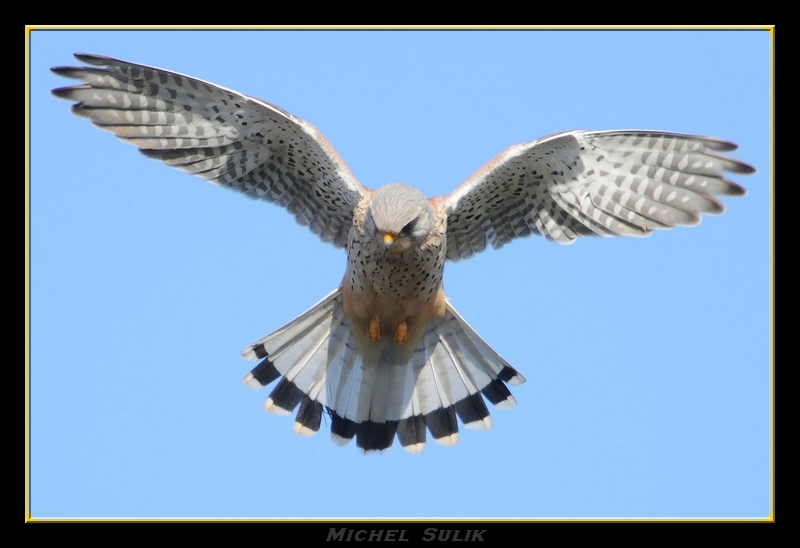 Image h&eacute;berg&eacute;e par Casimages.com : votre h&eacute;bergeur d images simple et gratuit