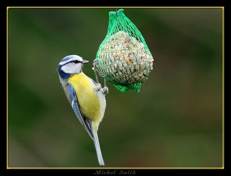 Image h&eacute;berg&eacute;e par Casimages.com : votre h&eacute;bergeur d images simple et gratuit