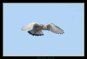 Hebergement gratuit d image et photo