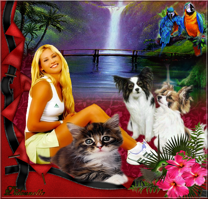 Image h&eacute;berg&eacute;e par Casimages.com : votre h&eacute;bergeur d images simple et gratuit